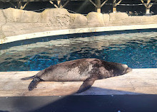 Vancouver Aquarium Café