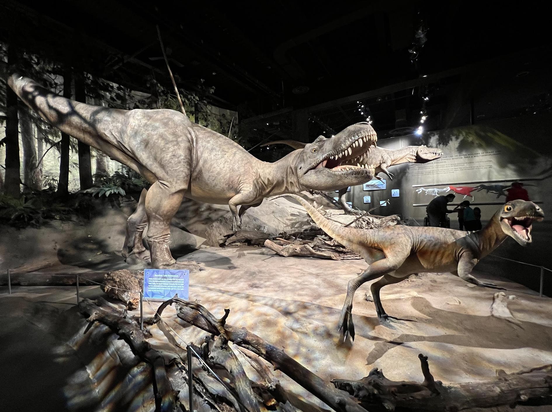 Royal Tyrrell Museum