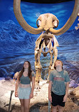 Royal Tyrrell Museum