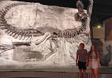 Royal Tyrrell Museum