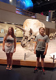 Royal Tyrrell Museum