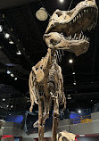 Royal Tyrrell Museum