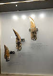 Royal Tyrrell Museum