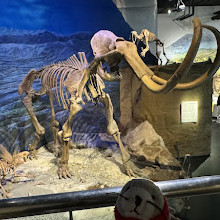 Royal Tyrrell Museum