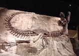 Royal Tyrrell Museum