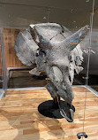 Royal Tyrrell Museum