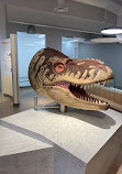 Royal Tyrrell Museum