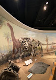 Royal Tyrrell Museum