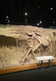 Royal Tyrrell Museum