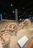 Royal Tyrrell Museum