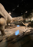 Royal Tyrrell Museum