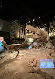 Royal Tyrrell Museum