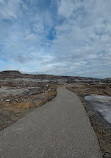 Royal Tyrrell Museum