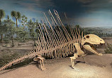 Royal Tyrrell Museum