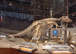 Royal Tyrrell Museum