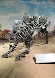 Royal Tyrrell Museum