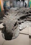 Royal Tyrrell Museum