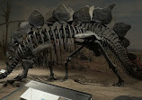 Royal Tyrrell Museum