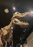 Royal Tyrrell Museum