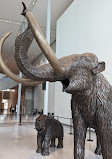 Royal Alberta Museum