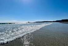 Réserve de parc national Pacific Rim - Unité de Long Beach