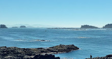 Réserve de parc national Pacific Rim - Unité de Long Beach