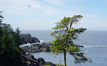 Réserve de parc national Pacific Rim - Unité de Long Beach