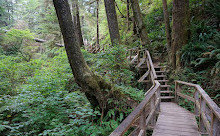 Réserve de parc national Pacific Rim - Unité de Long Beach