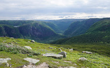 Gros Morne National Park Of Canada