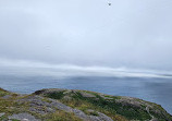 Signal Hill National Historic Site