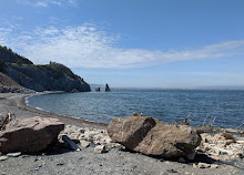 Cape Breton Highlands Ulusal Parkı