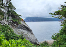 Cape Breton Highlands Ulusal Parkı