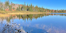 Cape Breton Highlands Ulusal Parkı