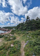 Cape Breton Highlands Ulusal Parkı