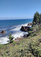 Cape Breton Highlands Ulusal Parkı