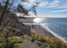 Parco nazionale degli Altipiani di Cape Breton