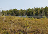 Provinciaal park Algonquin