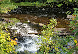 Provinciaal park Algonquin