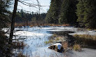 Algonquin Provincial Park