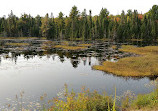 Provinciaal park Algonquin