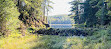 Parc provincial Algonquin