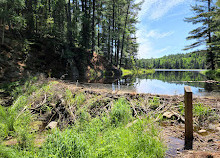 Algonquin Provincial Park