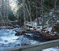 Algonquin Provincial Park