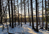 Algonquin Provincial Park