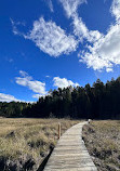 Algonquin Provincial Park