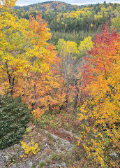 Algonquin Provincial Park