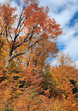 Algonquin Provincial Park