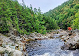 Fundy National Park Of Canada