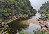 Fundy National Park Of Canada