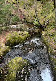 Fundy National Park Of Canada